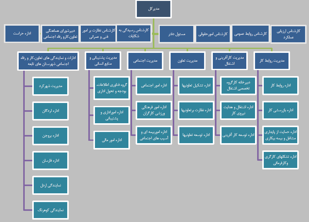 چارت سازمانی تعاون، کار و رفاه اجتماعی چهارمحال و بختیاری