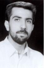 عکس بلوطی